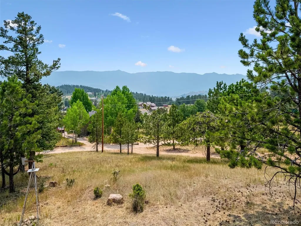 55 Deer Trail Drive Bailey CO 80421