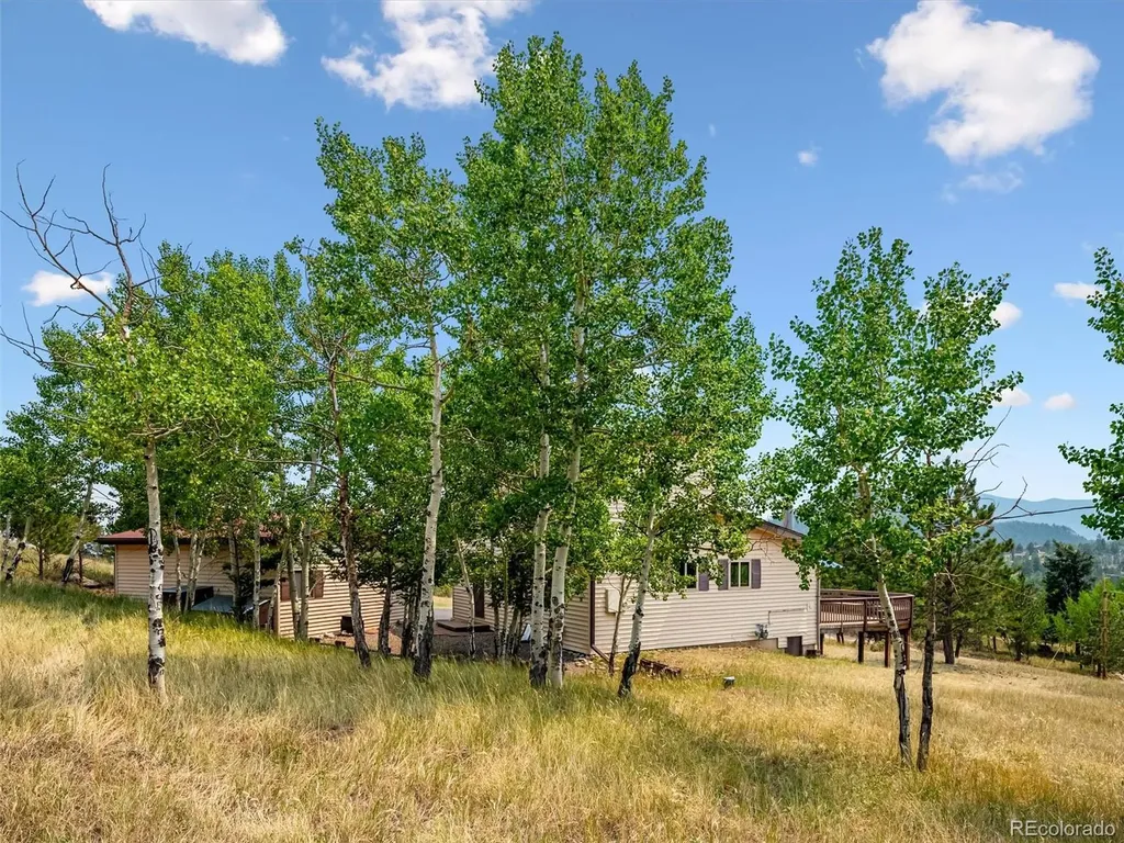 55 Deer Trail Drive Bailey CO 80421