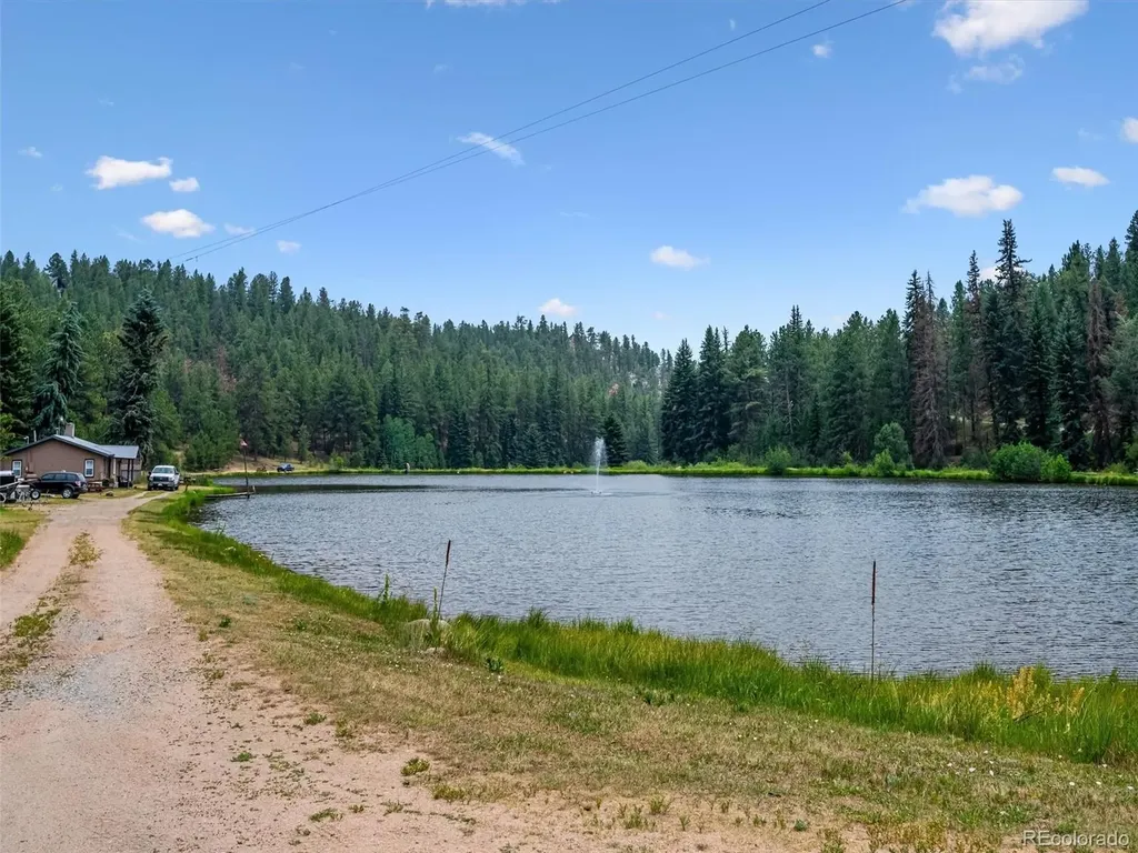 55 Deer Trail Drive Bailey CO 80421