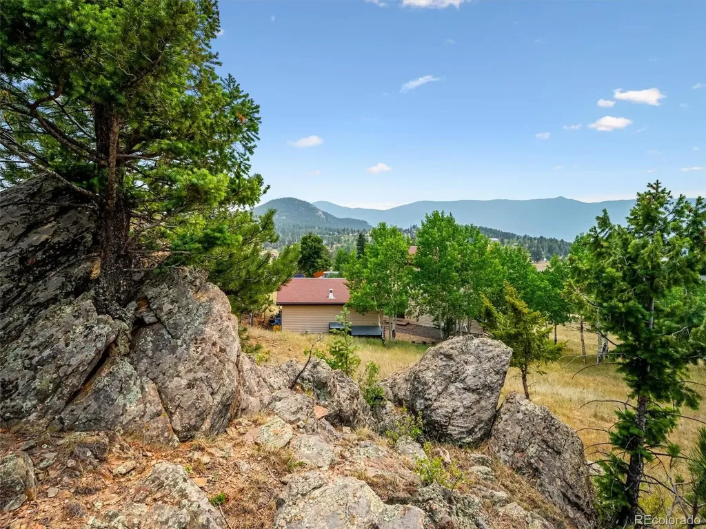 55 Deer Trail Drive Bailey CO 80421