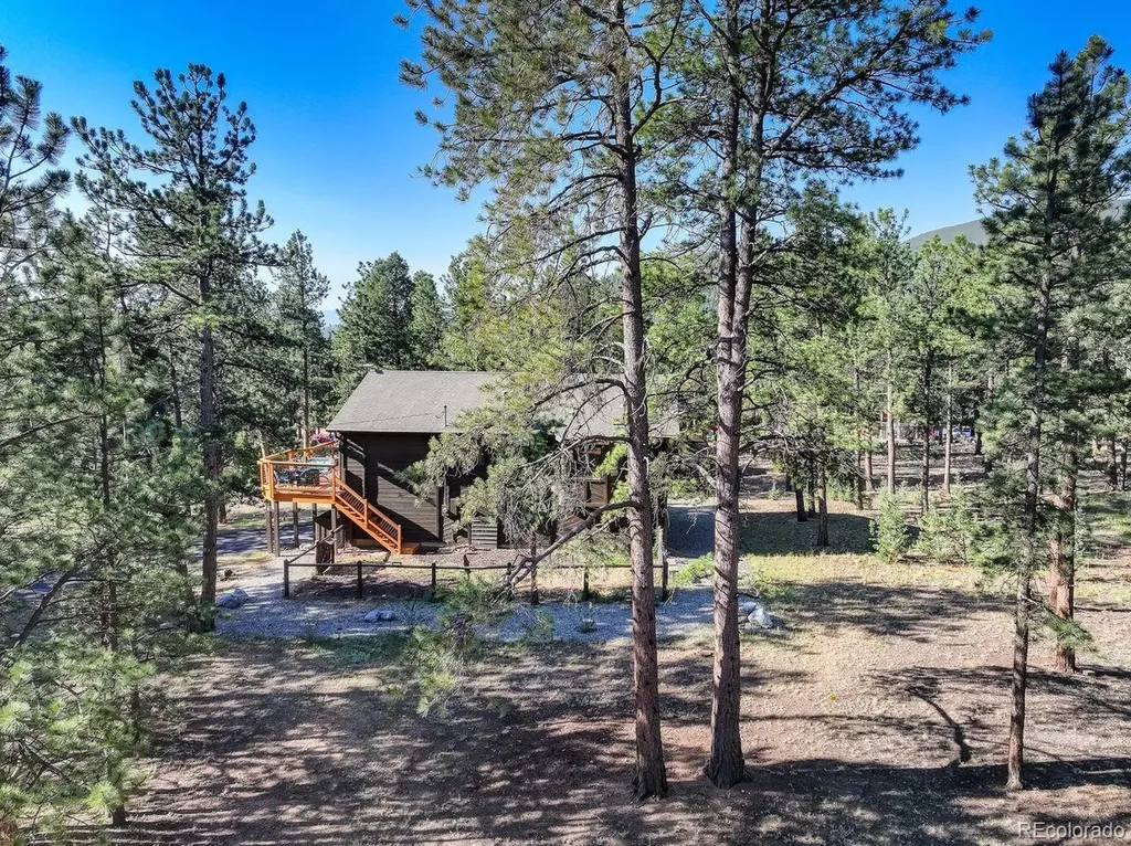 778 Gunsmoke Drive Bailey CO 80421