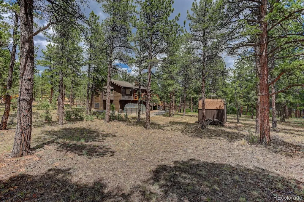 778 Gunsmoke Drive Bailey CO 80421