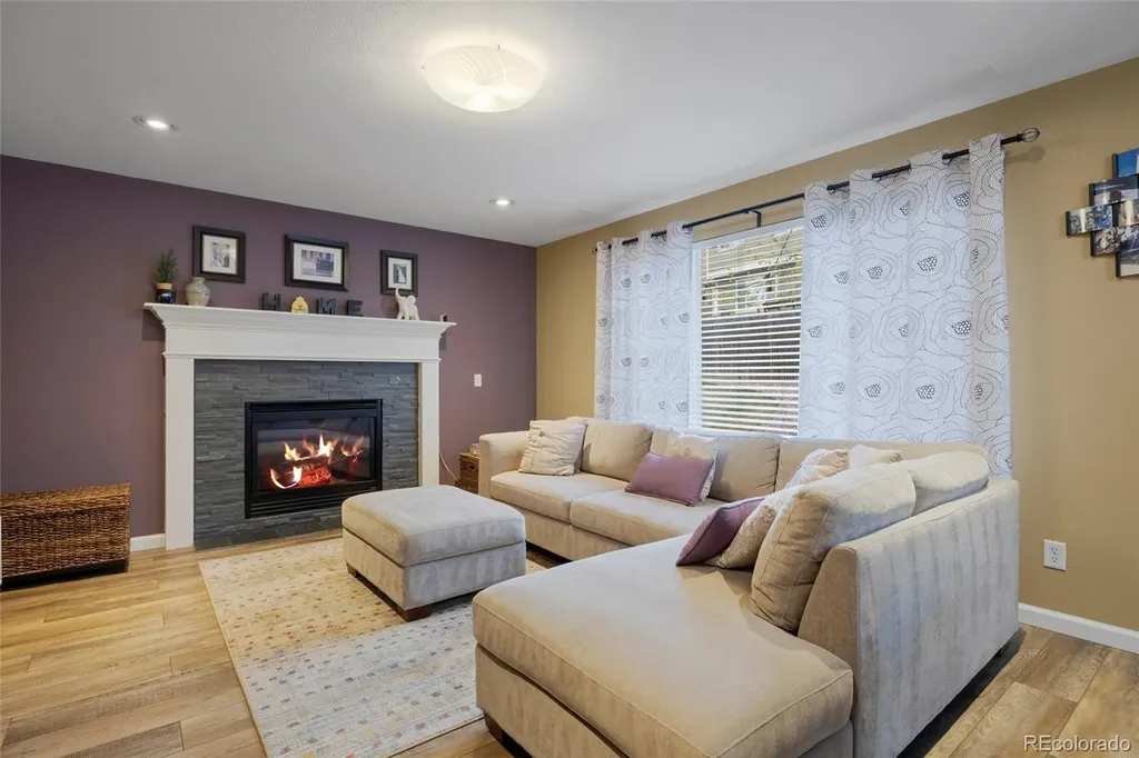21341 White Ash Court Parker CO 80138