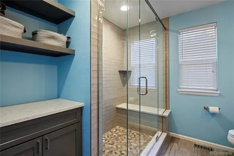 21341 White Ash Court Parker CO 80138