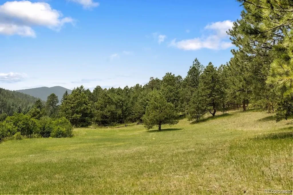 638 Soda Creek Drive Evergreen CO 80439