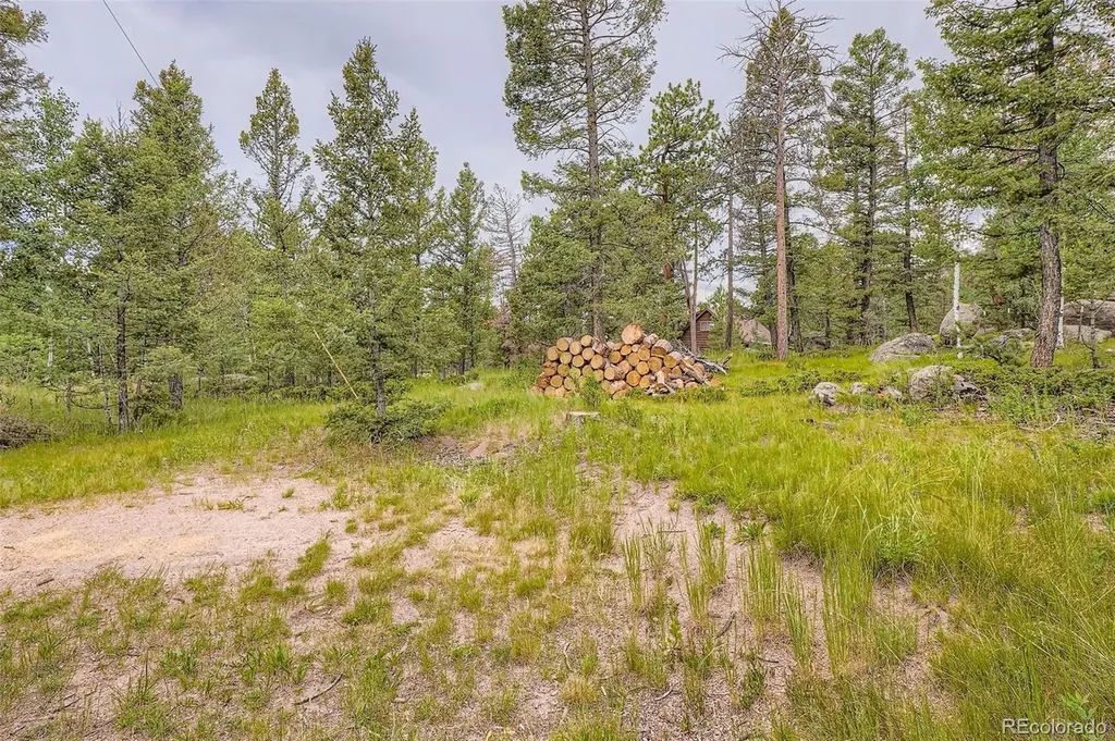 30520 Rand Road Conifer CO 80433