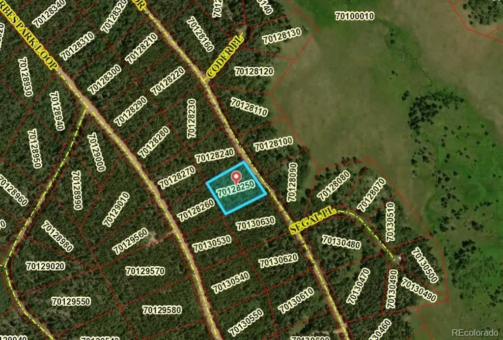 2904 Henderson Drive Fort Garland CO 81133
