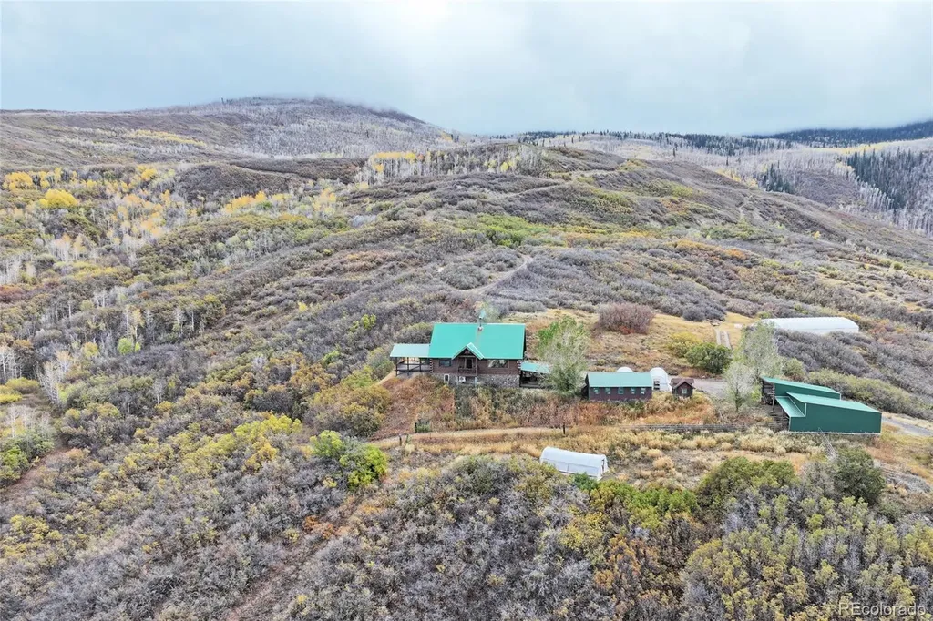 10822 60 3/4 Road Collbran CO 81624