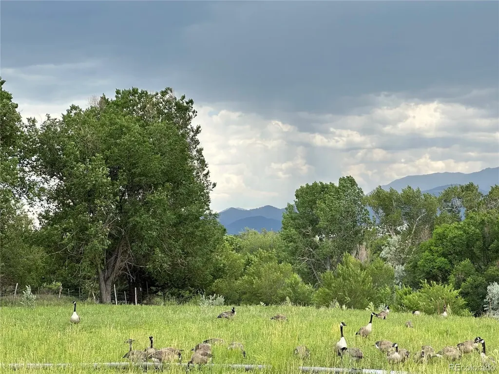 8720 County Road 175 Salida CO 81201