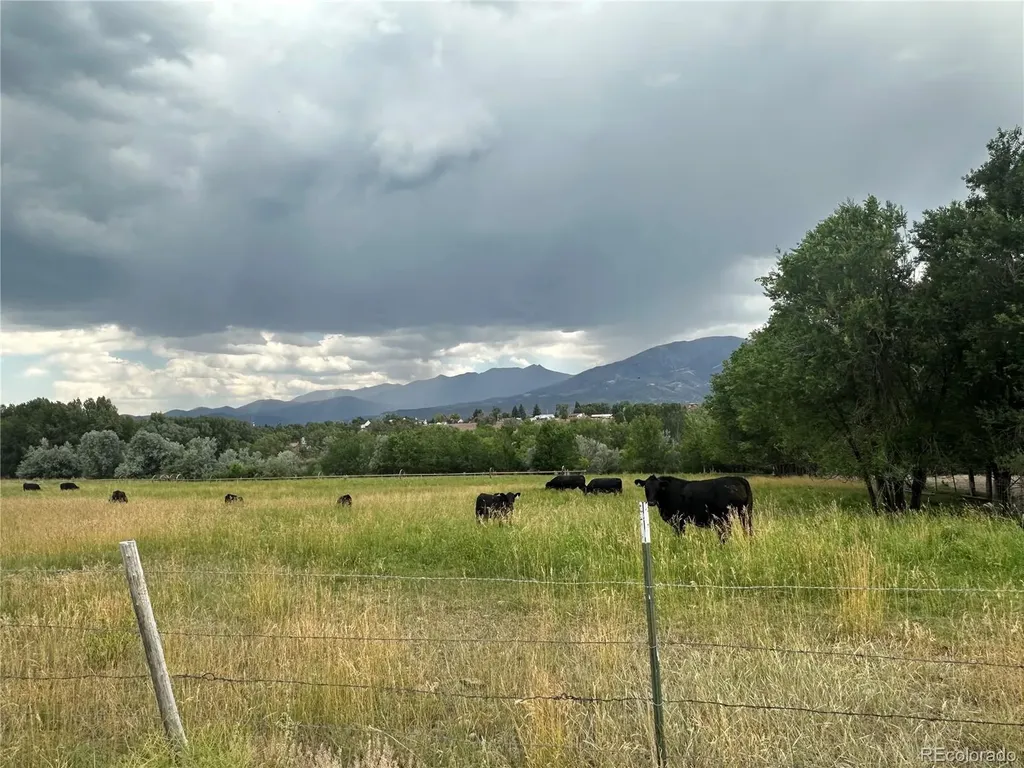 8720 County Road 175 Salida CO 81201