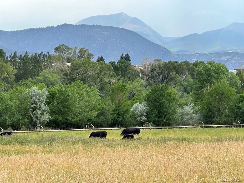 8720 County Road 175 Salida CO 81201