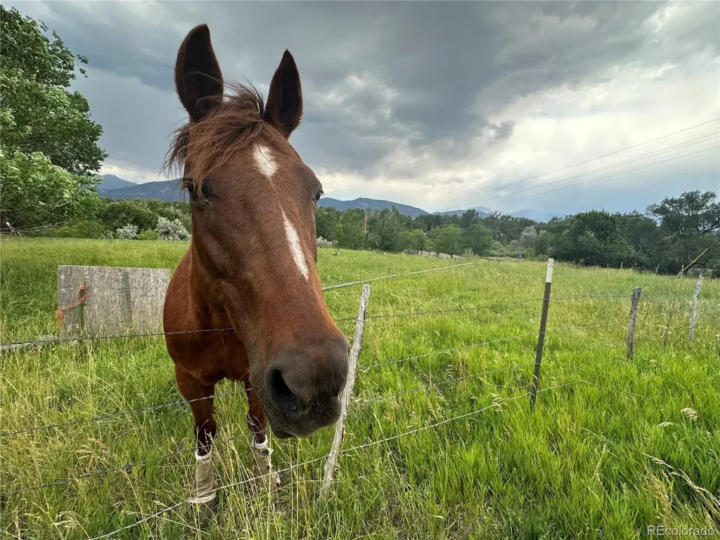 8720 County Road 175 Salida CO 81201