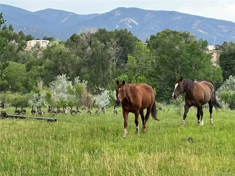 8720 County Road 175 Salida CO 81201