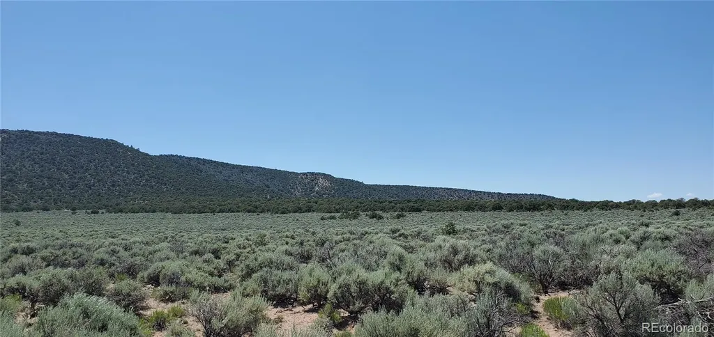 588 County Lane Fort Garland CO 81133
