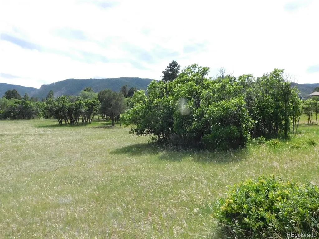 5980 Country Club Drive Larkspur CO 80118