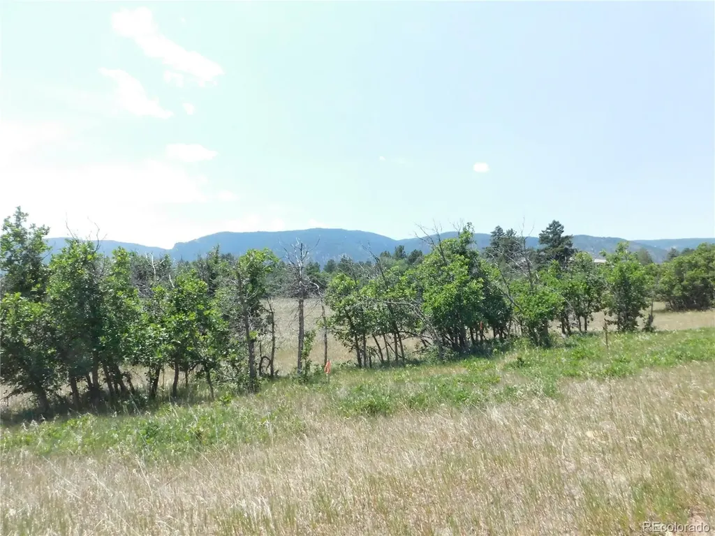 5980 Country Club Drive Larkspur CO 80118