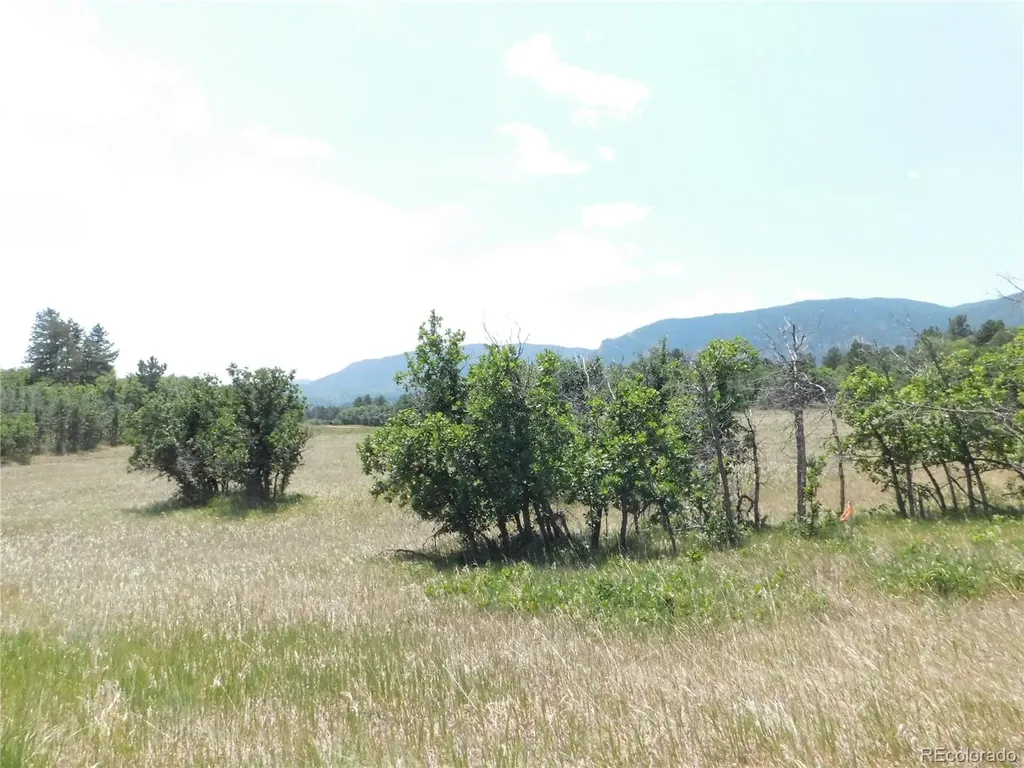 5980 Country Club Drive Larkspur CO 80118