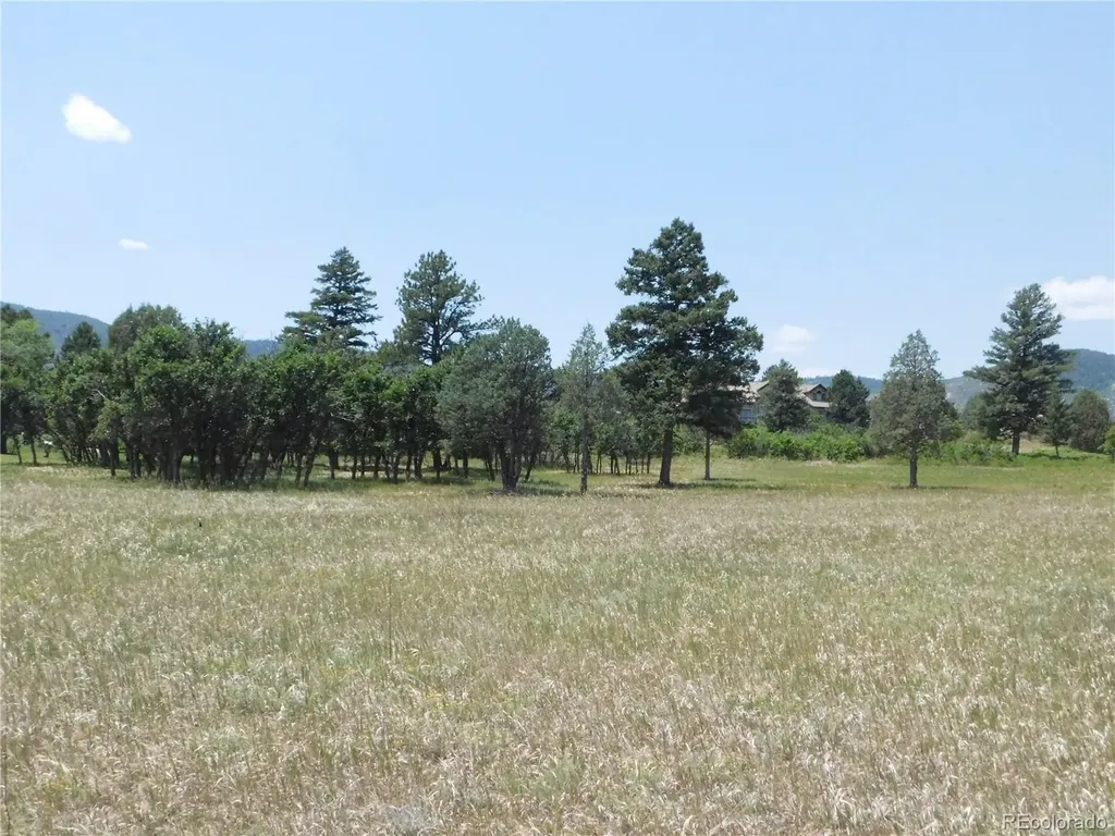 5980 Country Club Drive Larkspur CO 80118