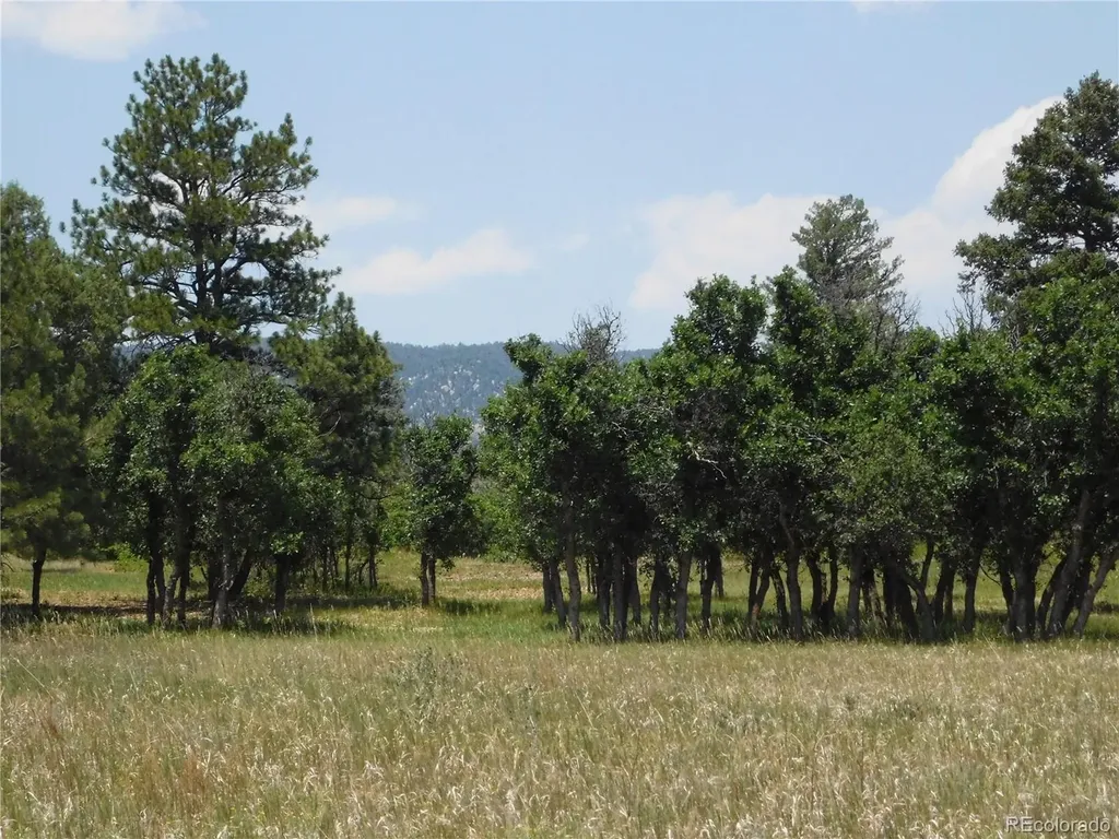 5980 Country Club Drive Larkspur CO 80118