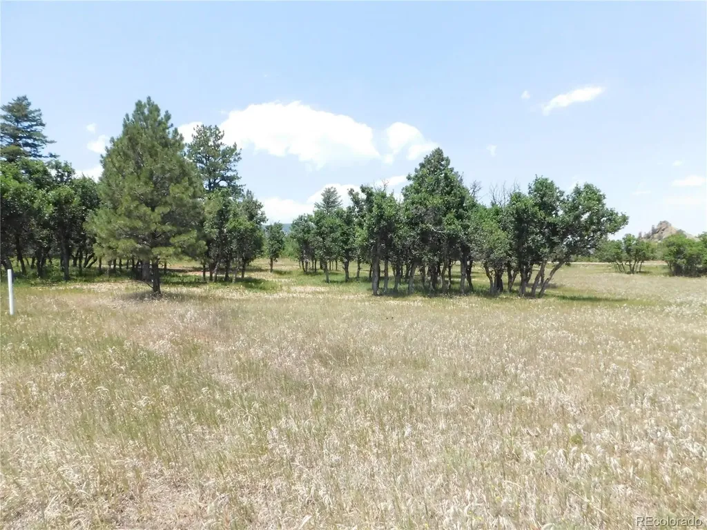 5980 Country Club Drive Larkspur CO 80118