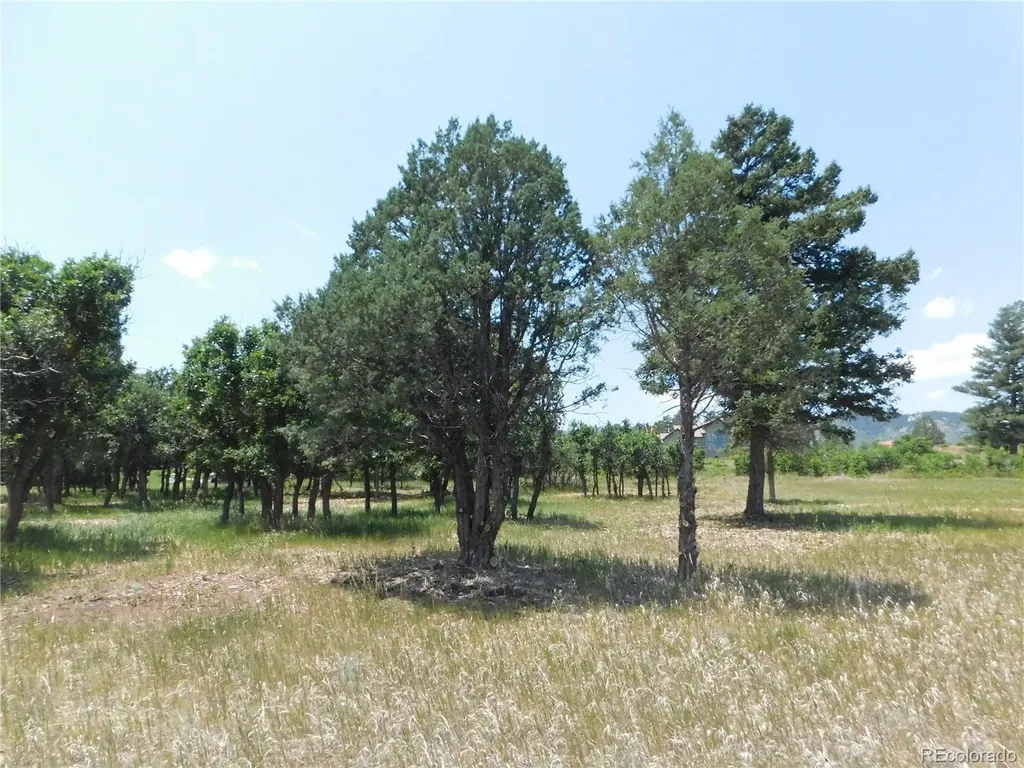 5980 Country Club Drive Larkspur CO 80118