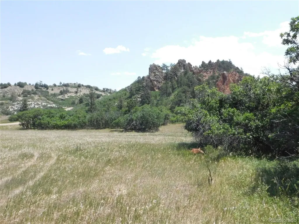 5980 Country Club Drive Larkspur CO 80118