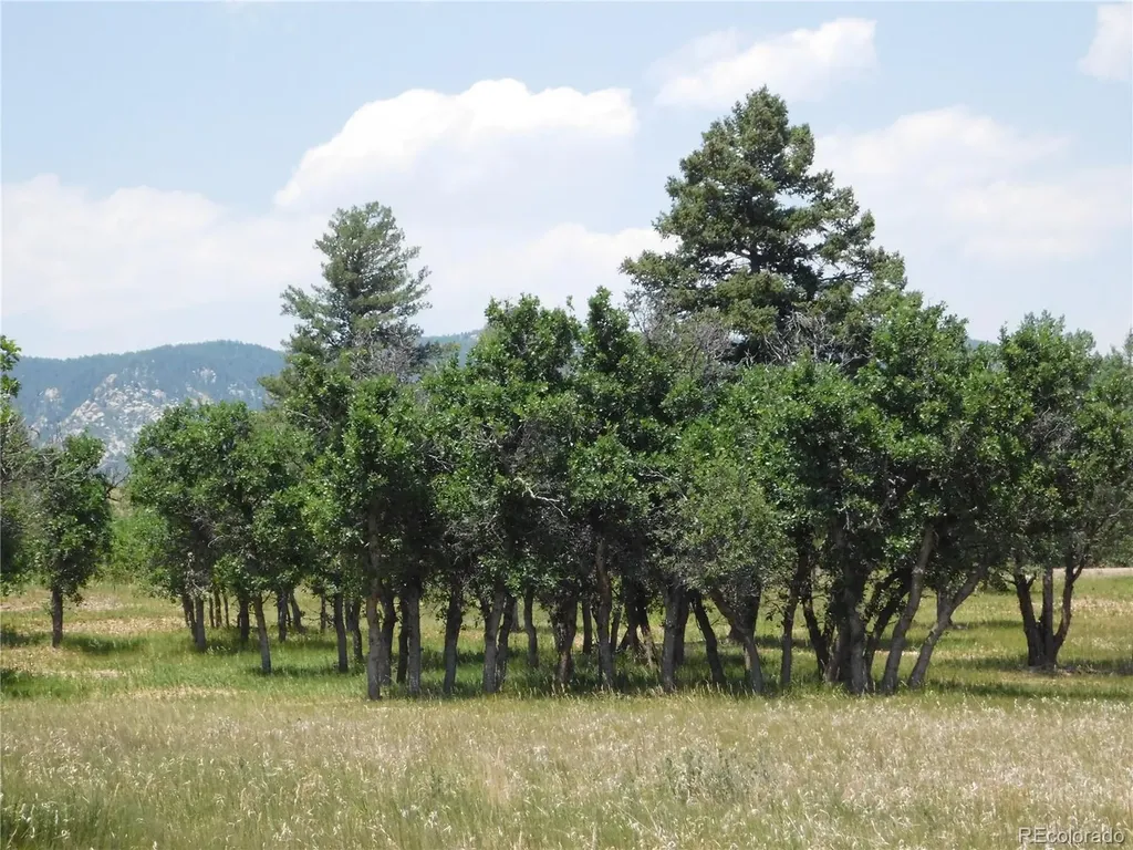 5980 Country Club Drive Larkspur CO 80118