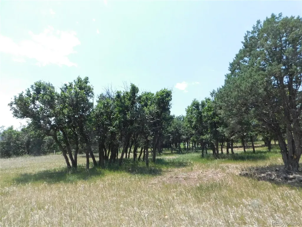 5980 Country Club Drive Larkspur CO 80118