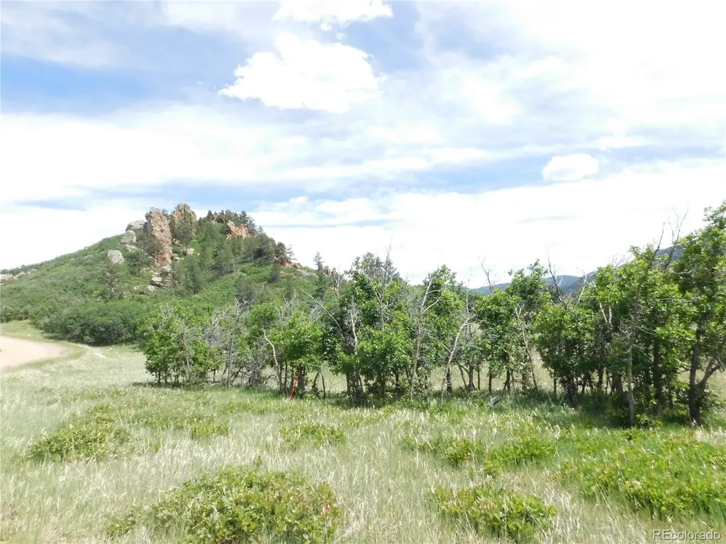 5980 Country Club Drive Larkspur CO 80118