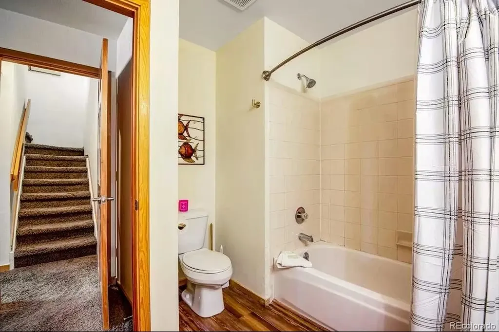 31 Justin Court Silverthorne CO 80498