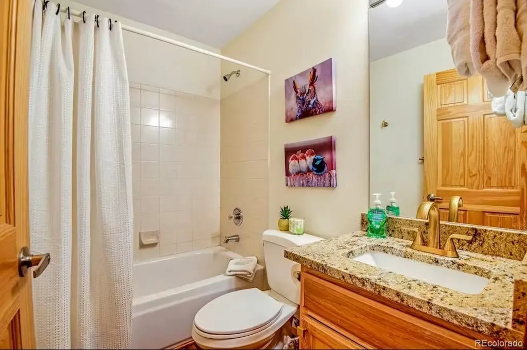31 Justin Court Silverthorne CO 80498