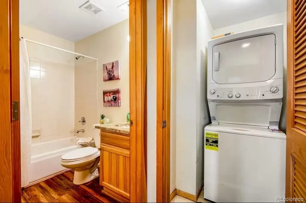 31 Justin Court Silverthorne CO 80498