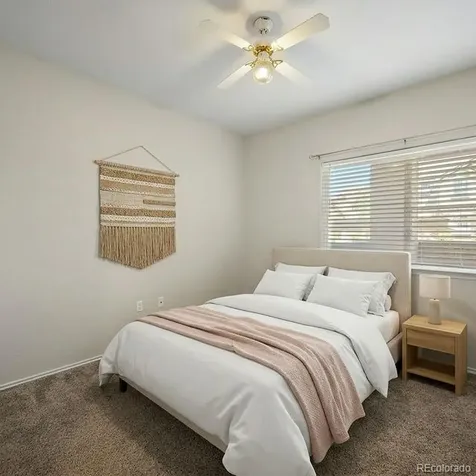 3780 Riviera Grove Colorado Springs CO 80922
