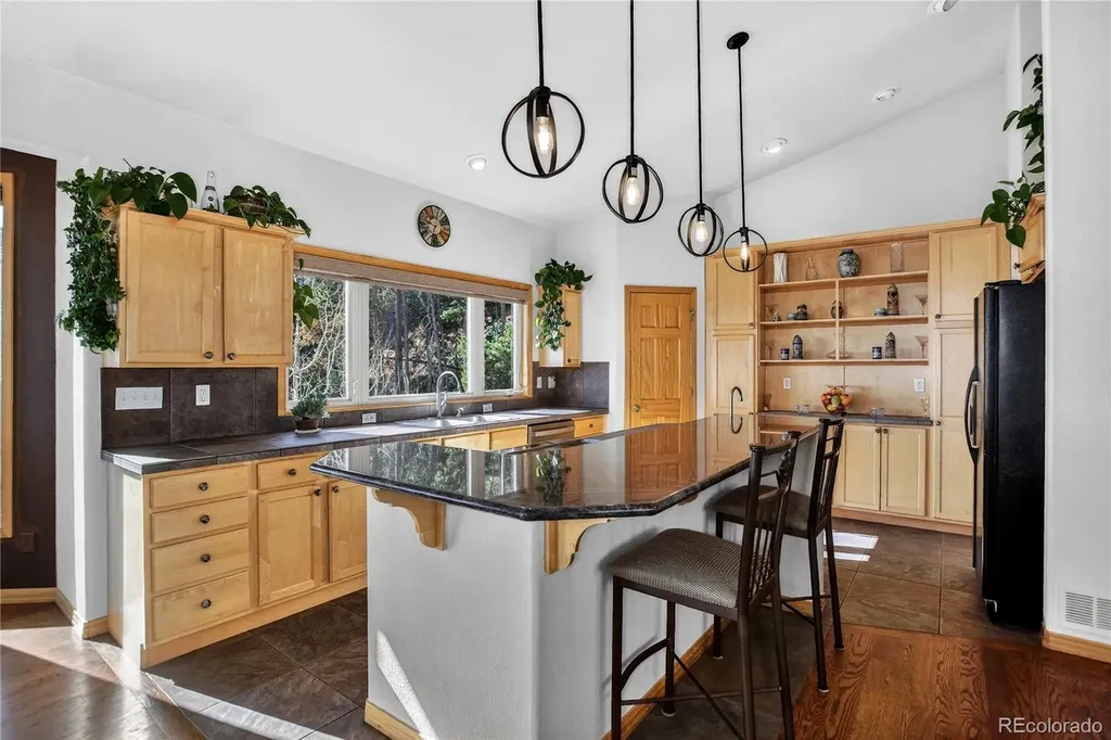 1255 Hy Vu Drive Evergreen CO 80439