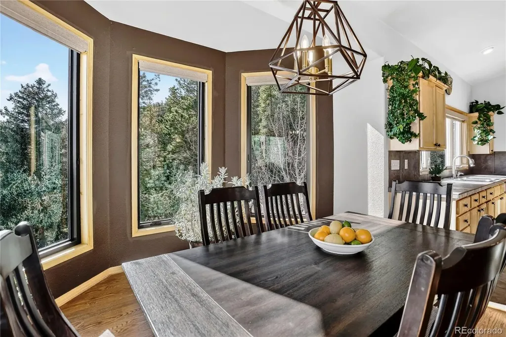 1255 Hy Vu Drive Evergreen CO 80439