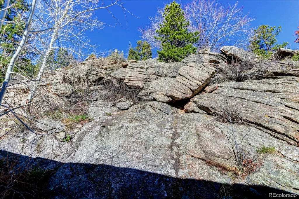 1255 Hy Vu Drive Evergreen CO 80439