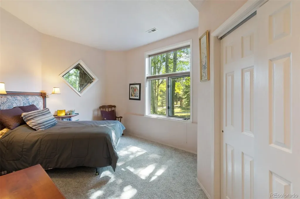 945 Sun Valley Woodland Park CO 80863