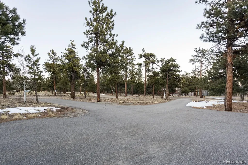 16670 Mt Princeton Road Buena Vista CO 81211