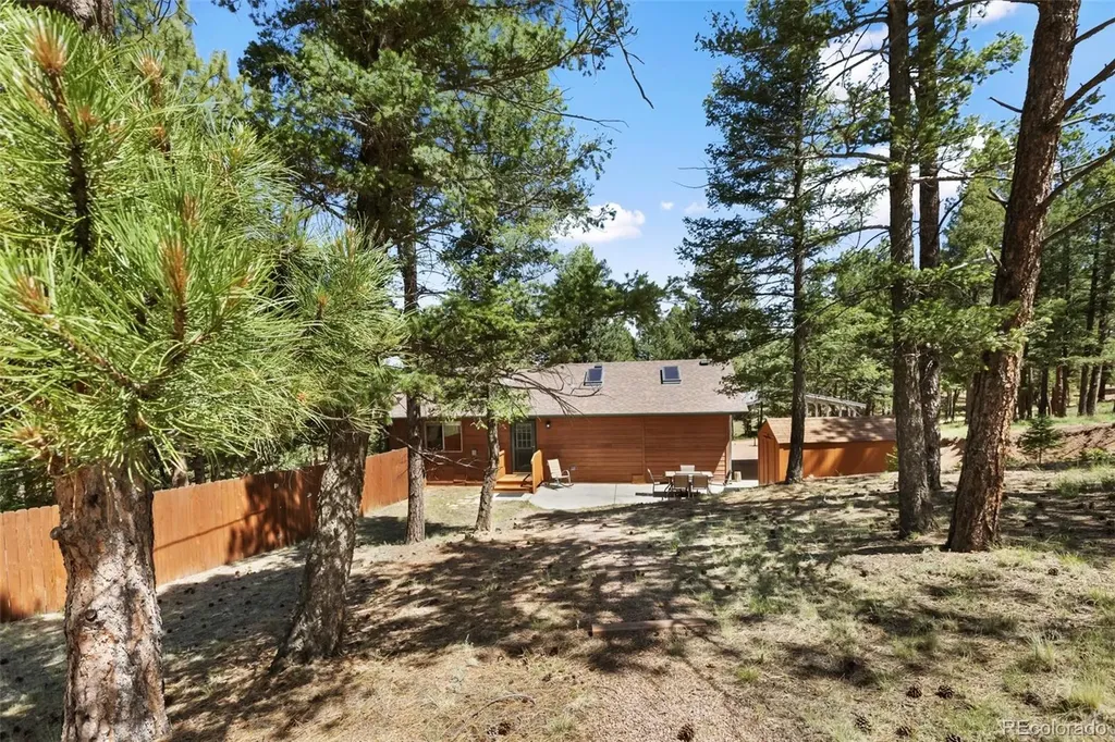 234 Wasatch Lane Florissant CO 80816