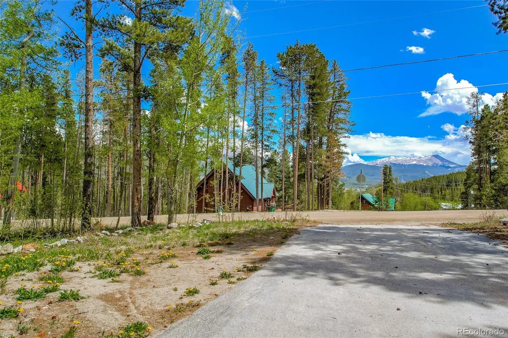 689 American Way Breckenridge CO 80424