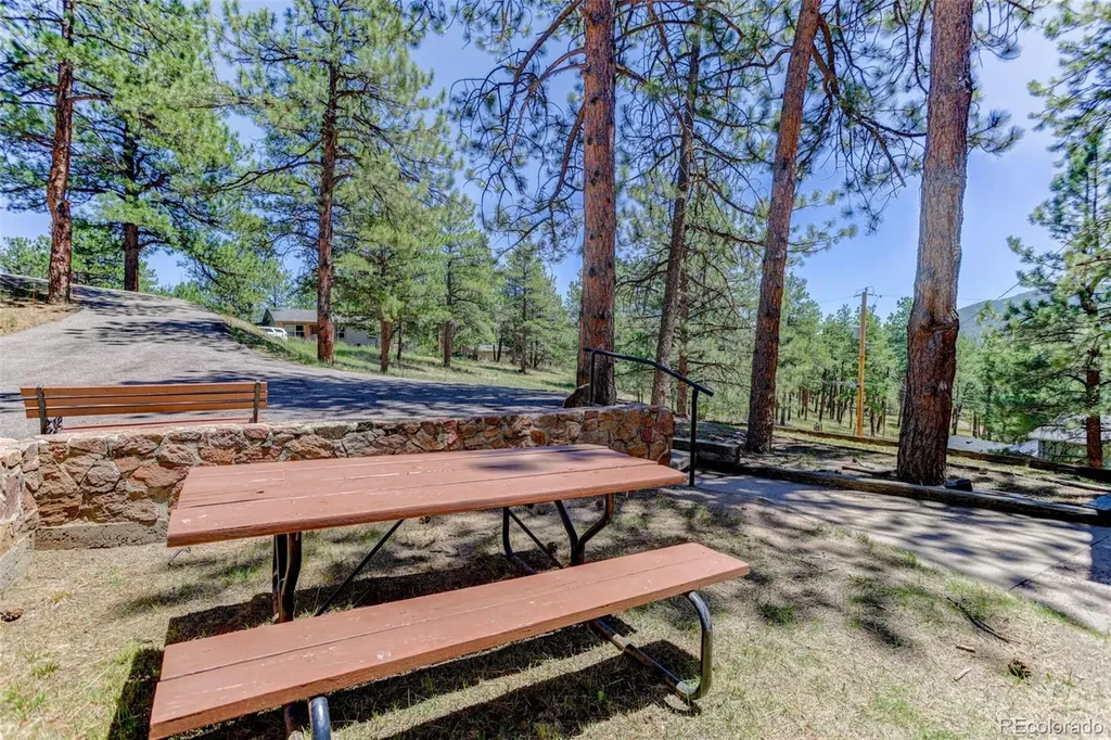 27723 Pine Valley Drive Evergreen CO 80439
