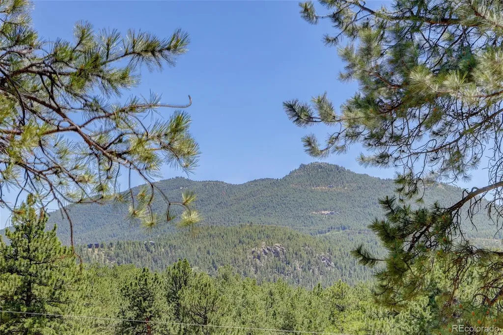 27723 Pine Valley Drive Evergreen CO 80439