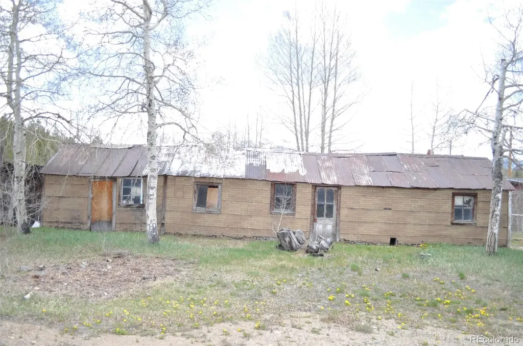 1601 24 Highway Leadville CO 80461