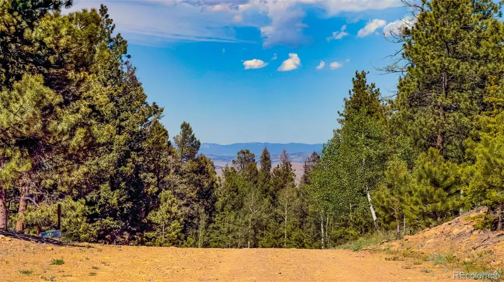 120 Chubb Court Buena Vista CO 81211