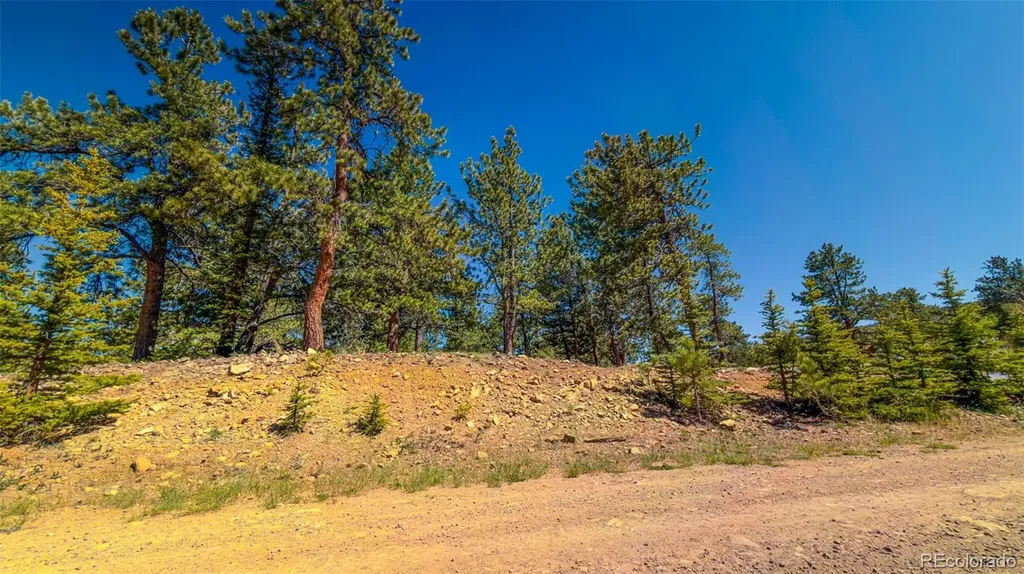 120 Chubb Court Buena Vista CO 81211