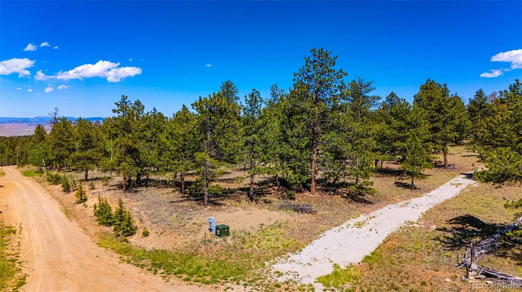 120 Chubb Court Buena Vista CO 81211