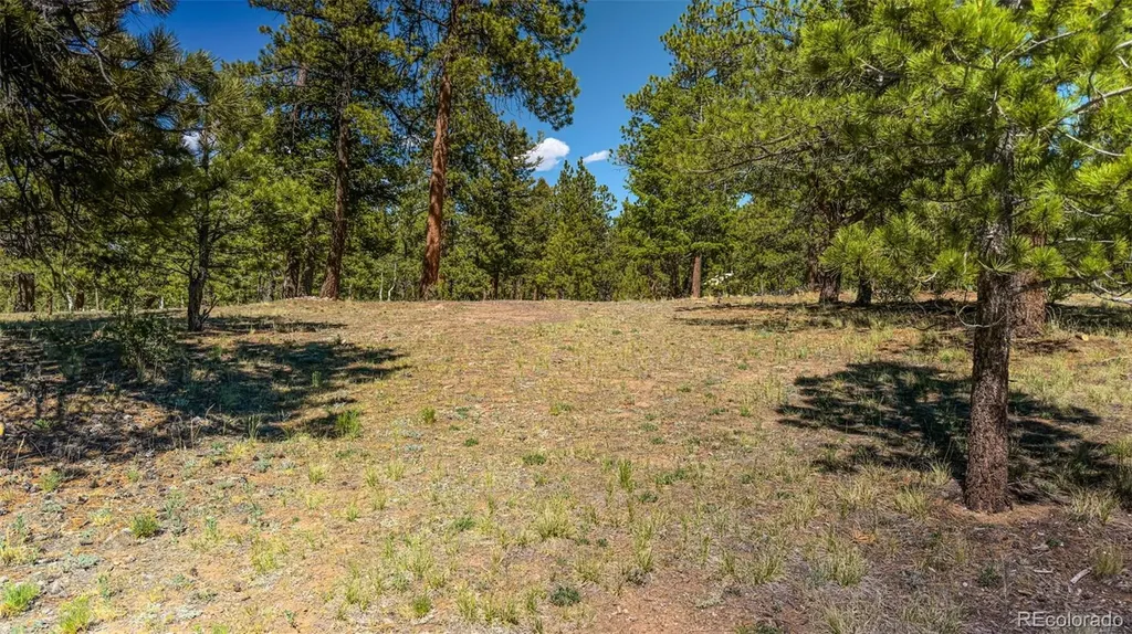 120 Chubb Court Buena Vista CO 81211