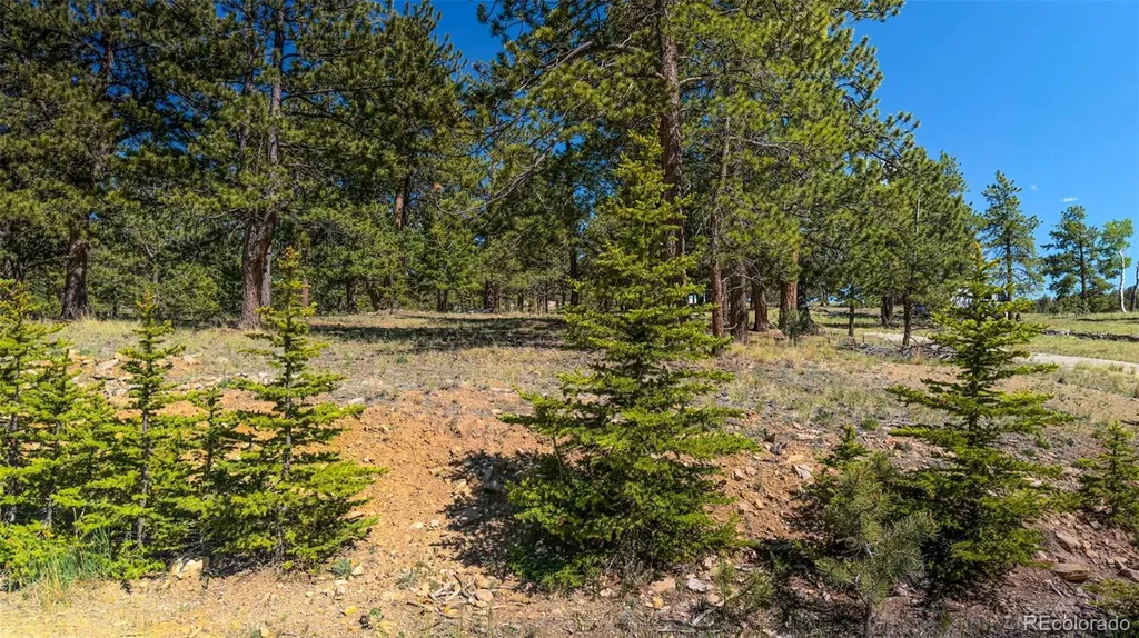 120 Chubb Court Buena Vista CO 81211