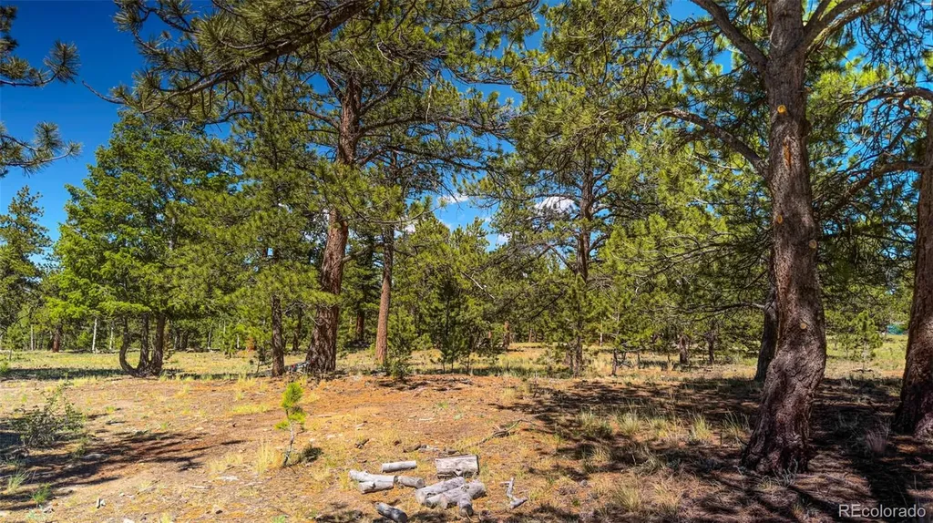 120 Chubb Court Buena Vista CO 81211