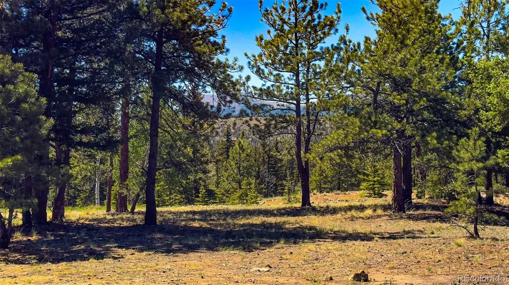 120 Chubb Court Buena Vista CO 81211